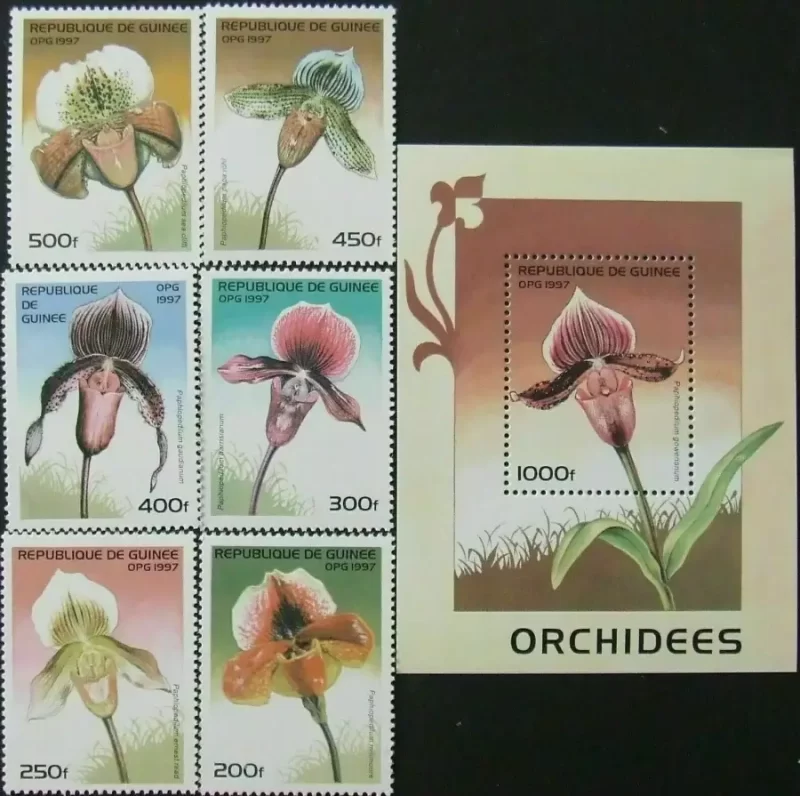 Guinee 1997 Flowers - Orchids - Complete set MNH