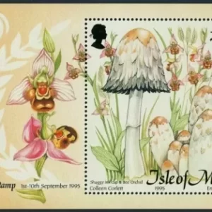 Isle of man stamps 1995 Flora – Edible Mushrooms MNH