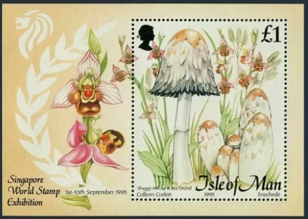 Isle of man stamps 1995 Flora – Edible Mushrooms MNH