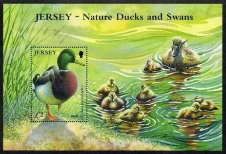 Jersey 2004 Fauna – Birds Mint never hinged stamps