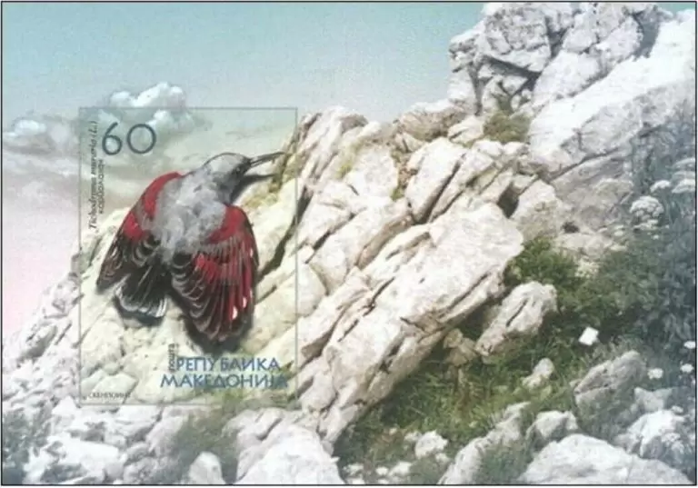 Macedonia 2004 Fauna – Songbirds postage stamps