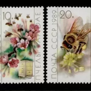 Russia Soviet Union 1989 Insects / Bees MNH postage stamps