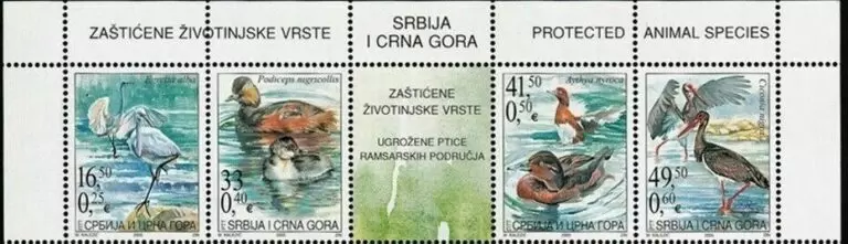 Serbia 2005 Fauna – Bird postage stamps