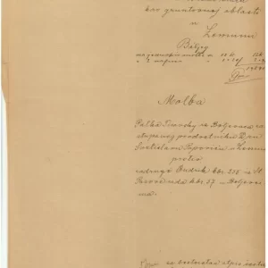 SHS – Slovenia – Chainbreakers 1919 Court document