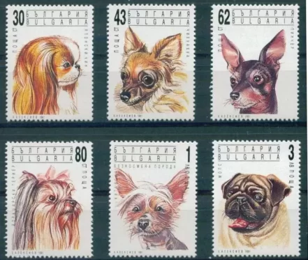 Bulgaria 1989 Fauna – Animals Dogs stamps set