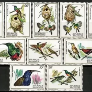 Rwanda year 1982 stamps Birds set