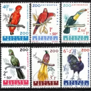 Belgium 1962 Animals / Birds of Antwerp Zoo postage stamps Set