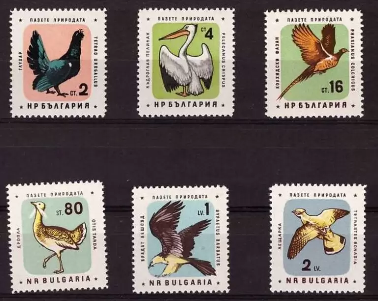 Bulgaria 1961 Animals Birds postage stamps set