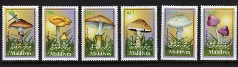 Maldives Islands year 2001 stamps Nature - Mushrooms full set