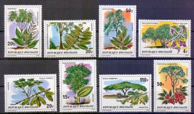 Rwanda year 1979 stamps - Nature Trees complete set MNH