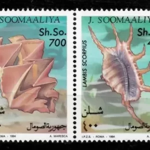 Somalia 1994 Fauna - Sea shells complete set postage stamps