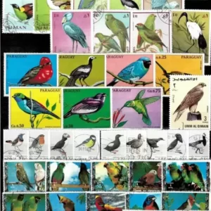 Worldwide Fauna Birds collection Used