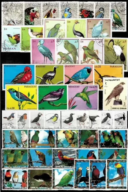 Worldwide Fauna Birds collection Used