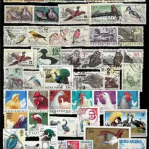 Worldwide Fauna Birds collection Used