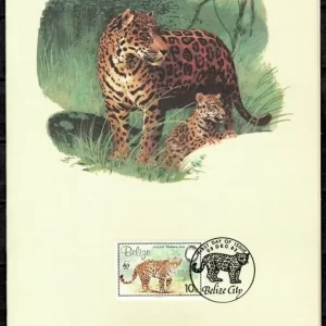 WWF Belize 1983 Big Cats / Jaguar Panther FD Card