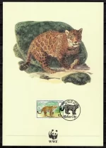 WWF Belize 1983 Big Cats / Jaguar Panther FD Card