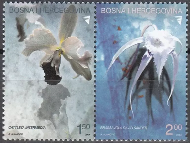 Bosnia year 2004 Flora Flowers full stamps set MNH