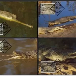 Bangladesh 1990 WWF Fauna Reptiles Gharial Crocodile Max cards