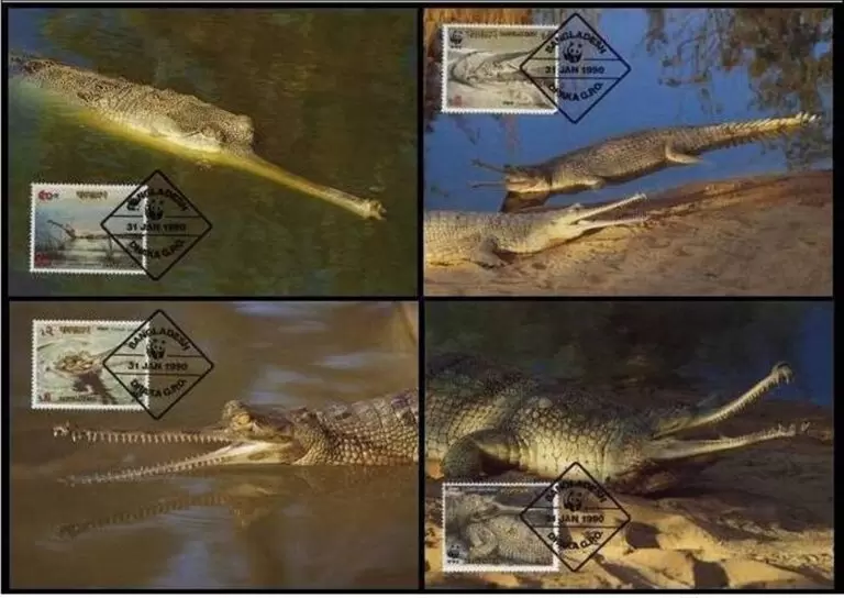 Bangladesh 1990 WWF Fauna Reptiles Gharial Crocodile Max cards