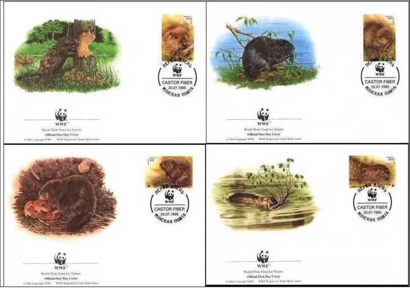 Belarus 1995 WWF – Fauna Rodents / Beaver FDC set