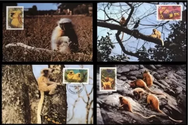 Bhutan 1984 WWF – Fauna Golden Langur monkey