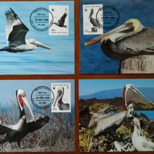 British Virgin Island 1988 WWF Fauna Birds White Pelicans Max cards set