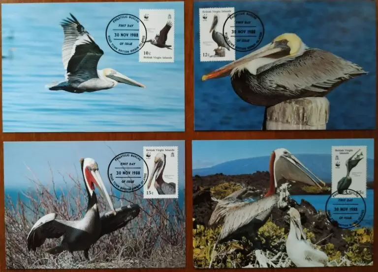 British Virgin Island 1988 WWF Fauna Birds White Pelicans Max cards set