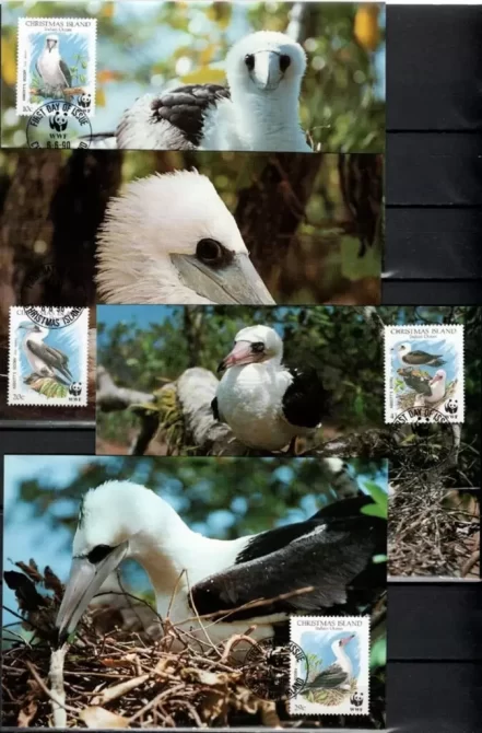 Christmas Island 1990 WWF Fauna Abbott’s Booby bird Max cards