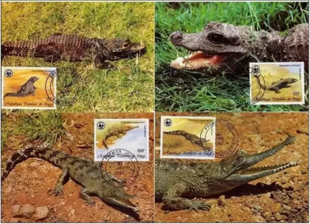 Congo PR 1987 WWF Fauna Reptiles Crocodiles Maxcards