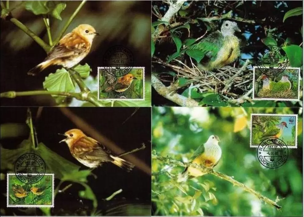 Cook islands 1989 WWF Fauna / Birds Rarotonga Monarch maximum cards