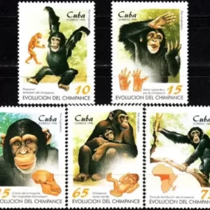 Cuba year 1998 stamps Fauna Evolution of the Chimpanzee