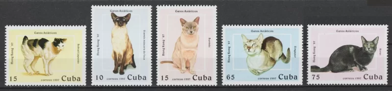 Cuba year 1997 stamps Fauna Pets Cats complete set MNH