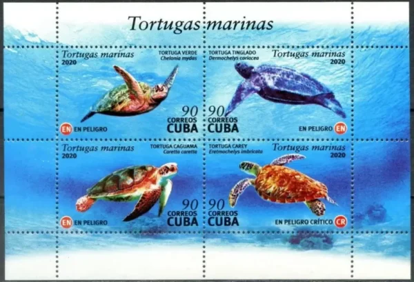 Cuba year 2020 stamps - Fauna Sea life - Marine Turtles MSS