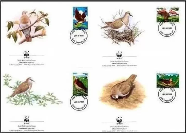 Grenada 1995 WWF Fauna / Birds Pigeon FDC set