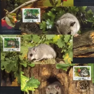 Latvia 1994 WWF – Fauna Mammals – Edible Dormouse