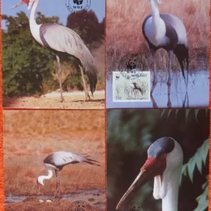 Malawi 1987 WWF Fauna Wattle Crane bird Max cards set