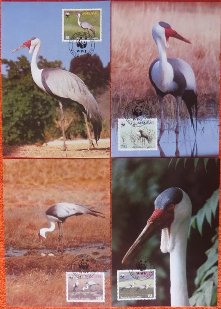 Malawi 1987 WWF Fauna Wattle Crane bird Max cards set