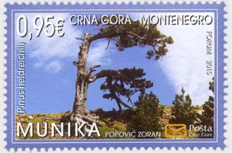 Montenegro 2015 Environment Protection postage stamp