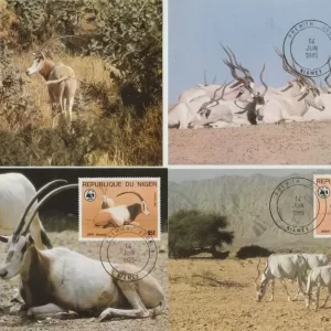 Niger 1985 WWF.- Fauna Mammals Maximum card set