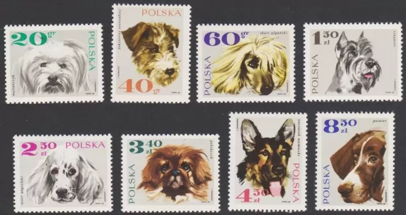 Poland 1969 stamps Fauna / Dogs stamps set