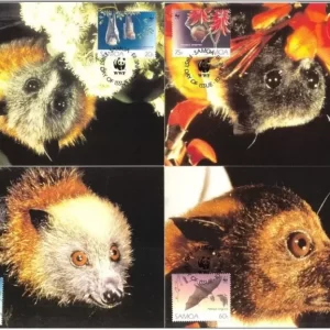 Samoa WWF 1993 W.W.F. – Fauna Fruit Bats