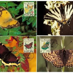 San Marino 1993 WWF Fauna / Butterfly Max cards set