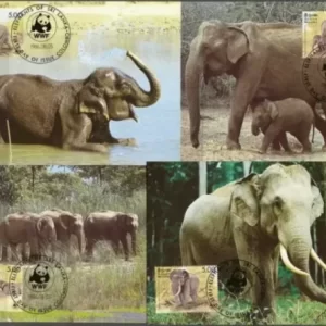 Sri Lanka 1986 WWF Fauna Wild Elephant Maximum card set