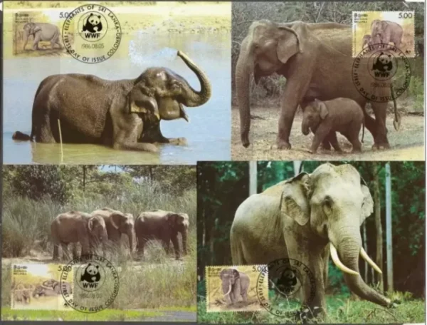 Sri Lanka 1986 WWF Fauna Wild Elephant Maximum card set