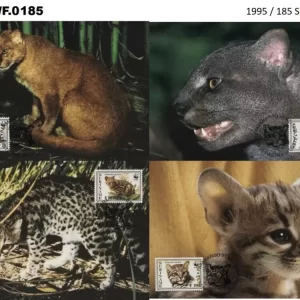 Suriname 1995 WWF Cats Maximum card set