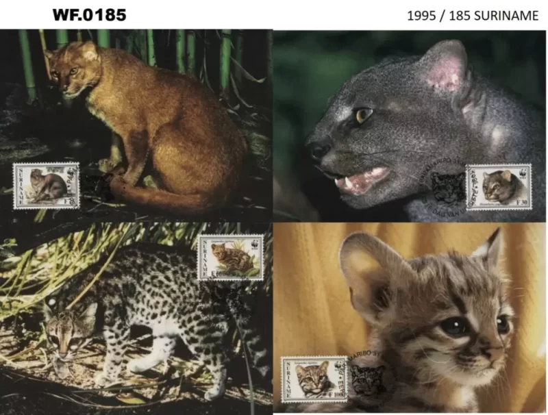 Suriname 1995 WWF Cats Maximum card set