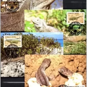 Turks & Caicos Islands 1986 WWF Fauna Reptiles Iguanas Maxcards