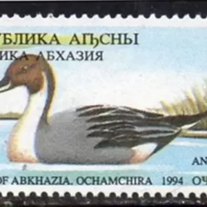 ABKHAZIA (LOCAL GEORGIA) year 1994 Fauna / Duck stamp