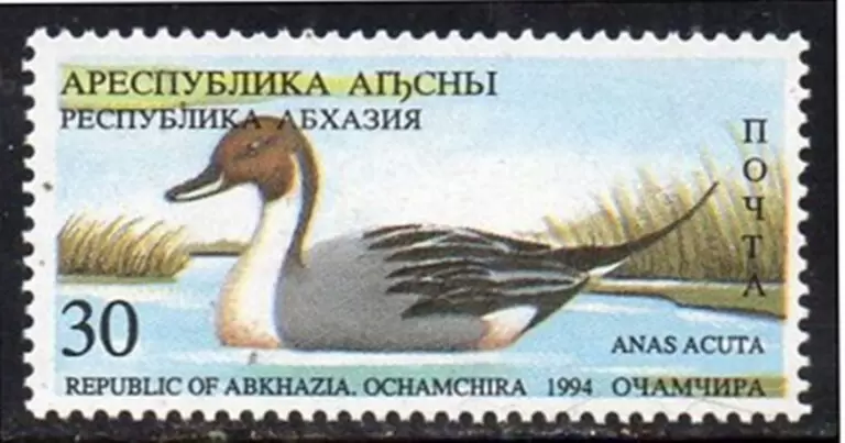 ABKHAZIA (LOCAL GEORGIA) year 1994 Fauna / Duck stamp