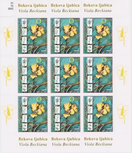 Bosnia Mostar 2002 Flora Flowers Beck’s Violet stamps